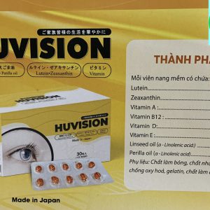Huvision 2